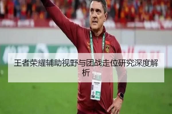 王者荣耀辅助视野与团战走位研究深度解析